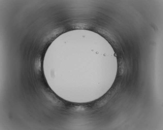 X0000112770310200910011242