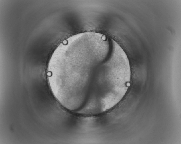 X0000112770313200910011242