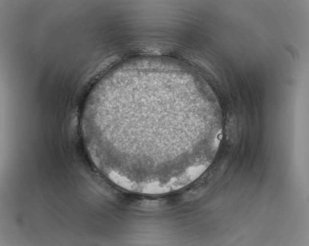 X0000112770314200910011242