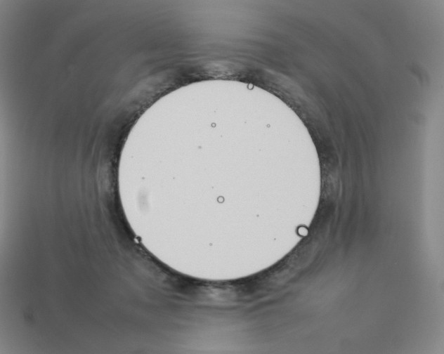 X0000112770317200910011242