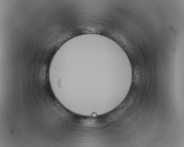 X0000112770318200910011242