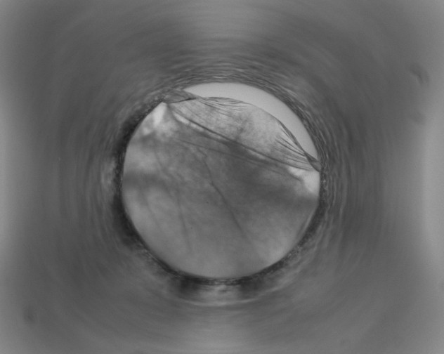 X0000112770319200910011242