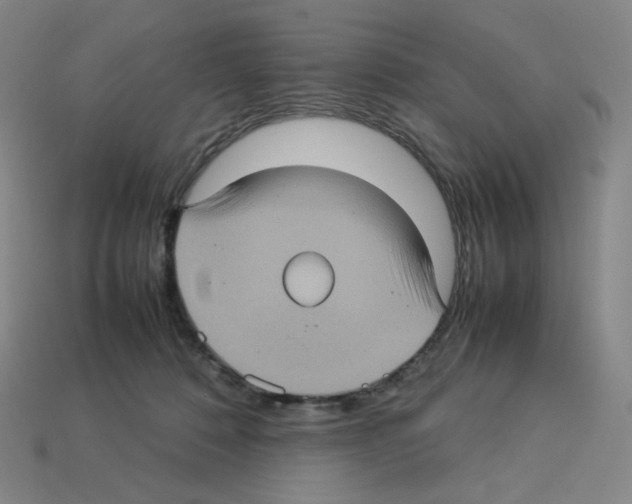 X0000112770320200910011242