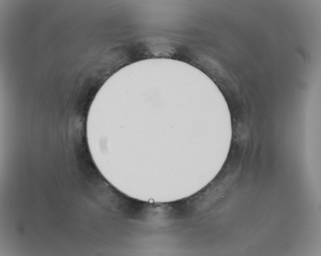 X0000112770321200910011242