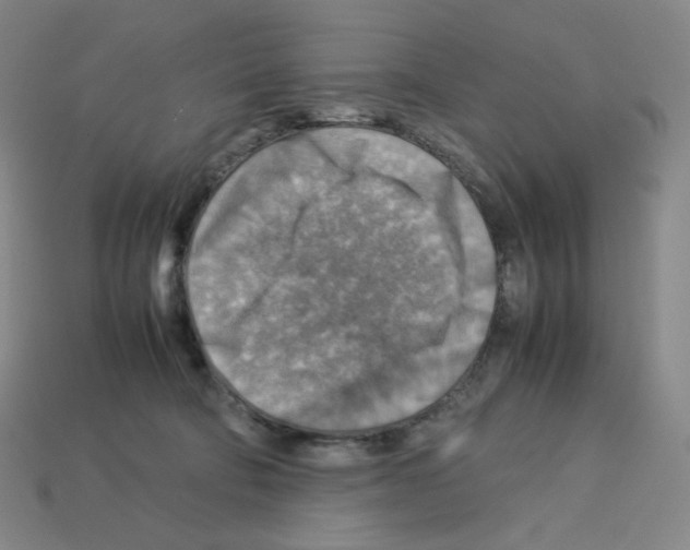 X0000112770322200910011242