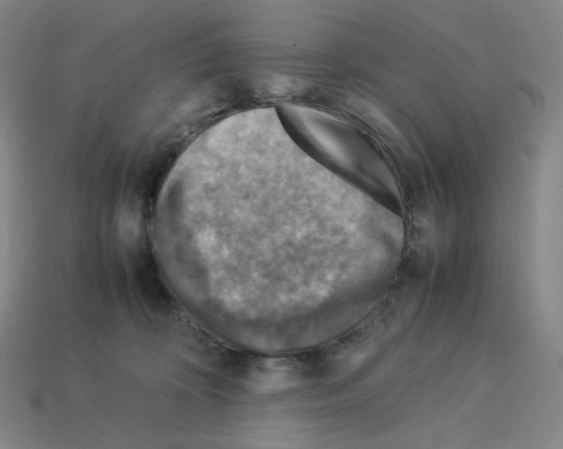 X0000112770324200910011242