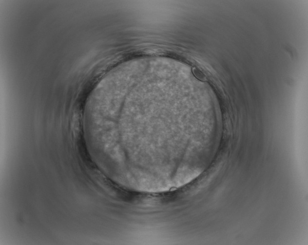 X0000112770325200910011242