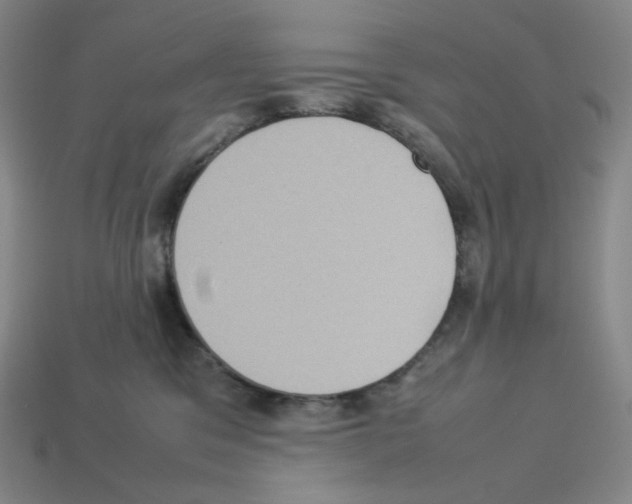 X0000112770329200910011242