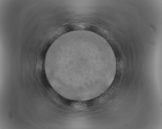 X0000112770331200910011242