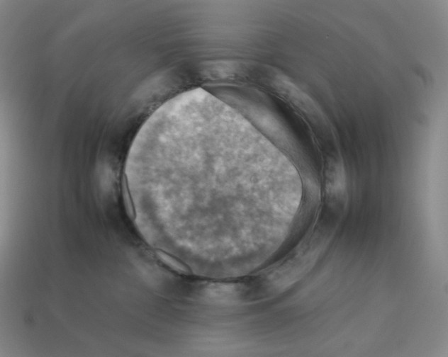 X0000112770332200910011242