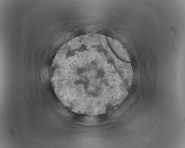 X0000112770335200910011242