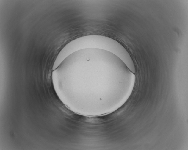 X0000112770336200910011242