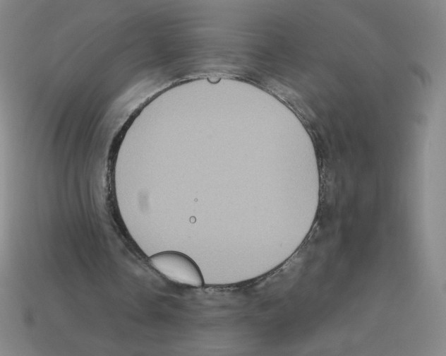 X0000112770338200910011241