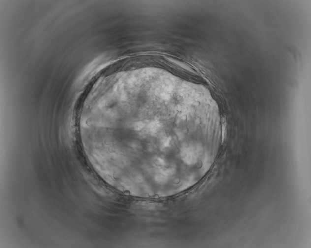 X0000112770339200910011241