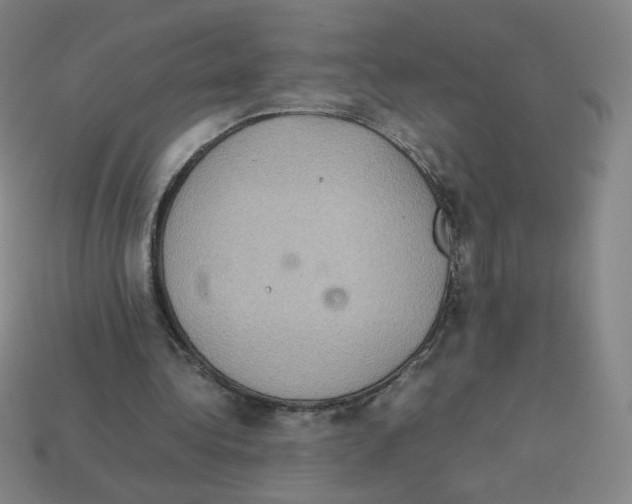 X0000112770340200910011241