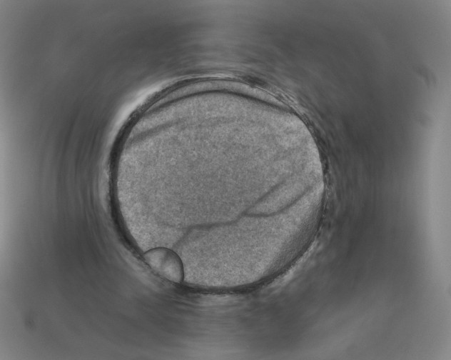 X0000112770342200910011241