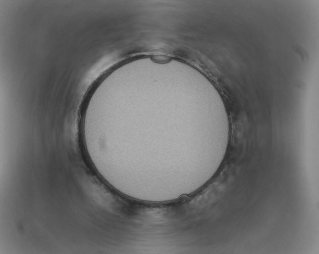 X0000112770344200910011241