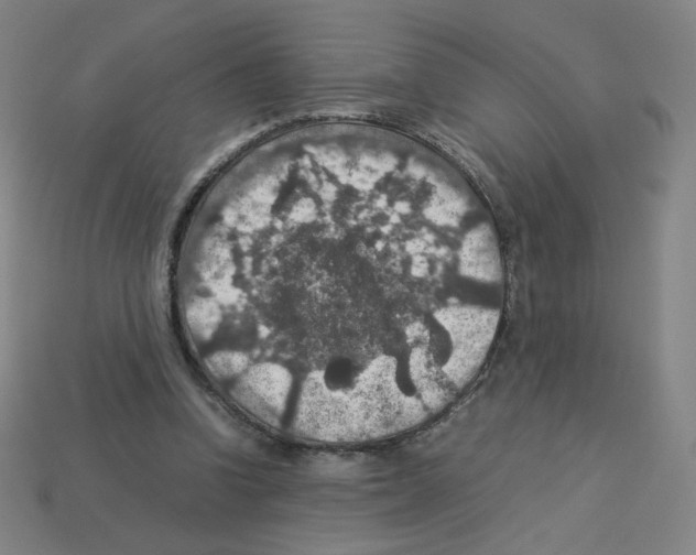 X0000112770346200910011241