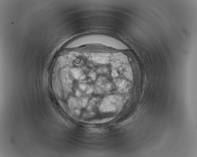 X0000112770347200910011241