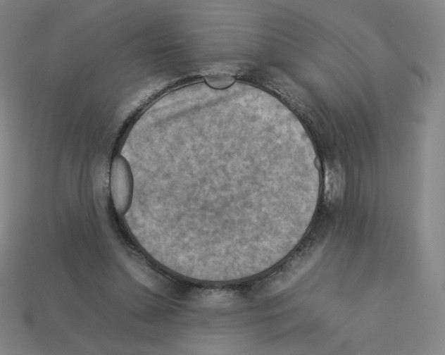 X0000112770348200910011241