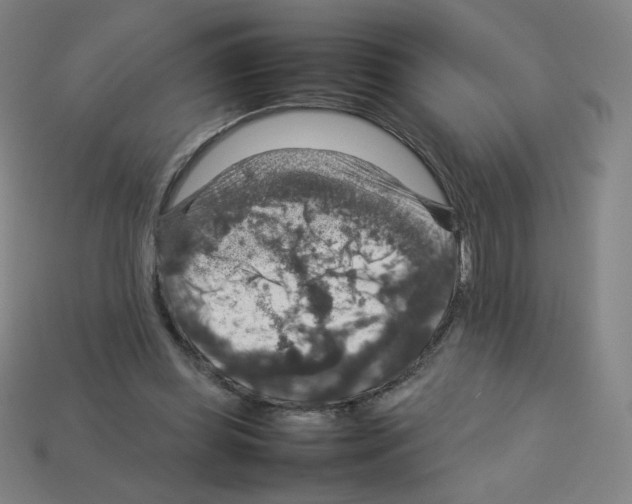 X0000112770349200910011241