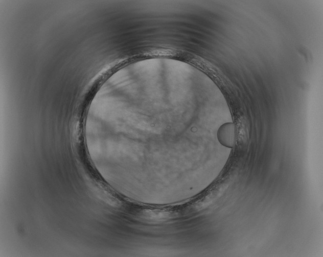 X0000112770351200910011241