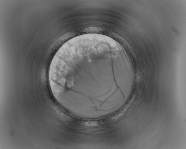 X0000112770353200910011241