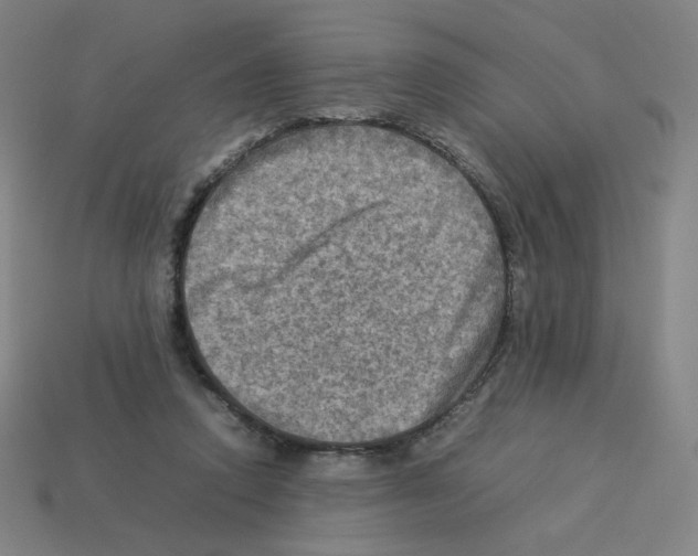 X0000112770354200910011241