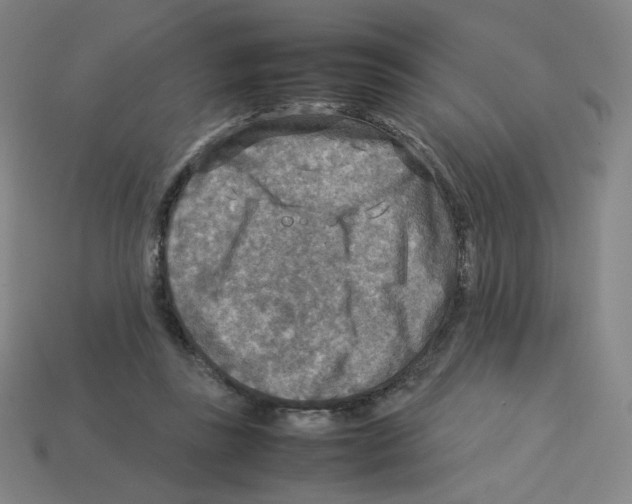 X0000112770355200910011241