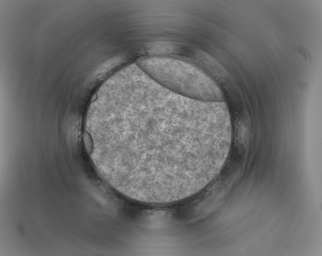 X0000112770356200910011241