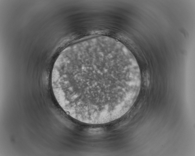 X0000112770357200910011241