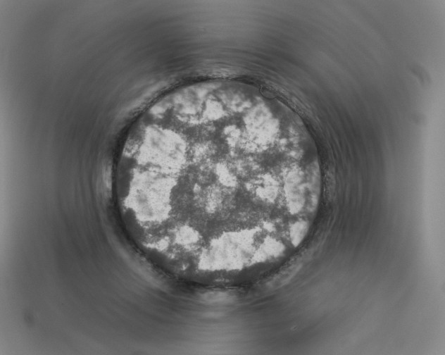 X0000112770358200910011241