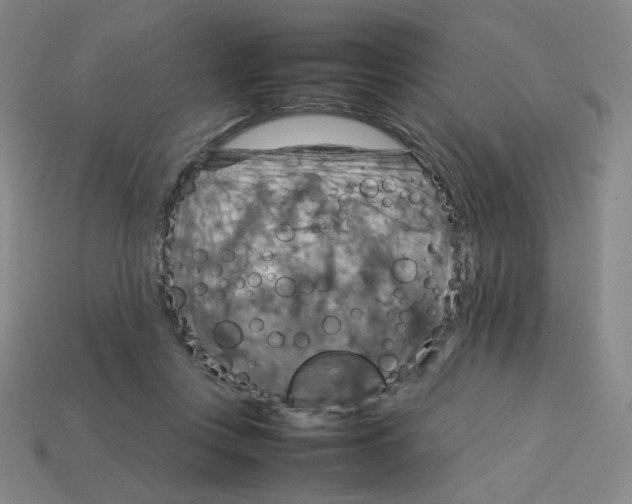 X0000112770359200910011241