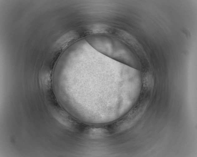 X0000112770360200910011241