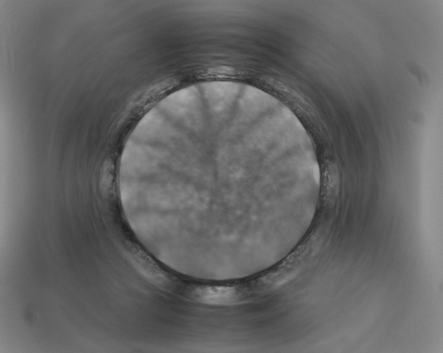 X0000112770361200910011241