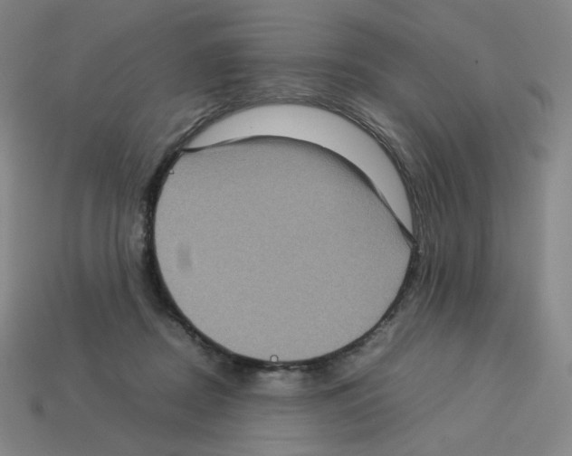 X0000112770362200910011241