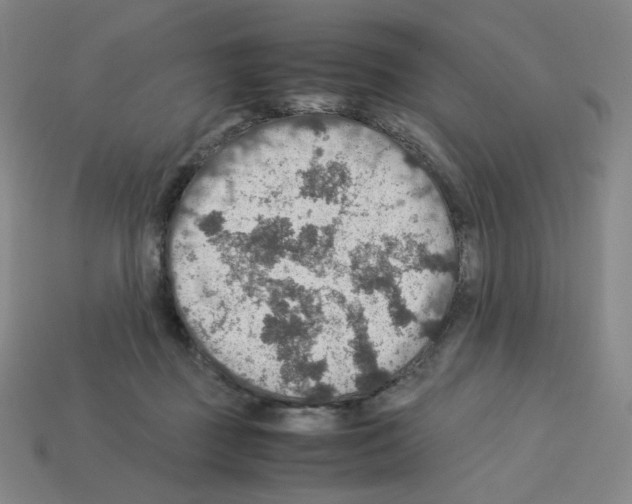 X0000112770363200910011241