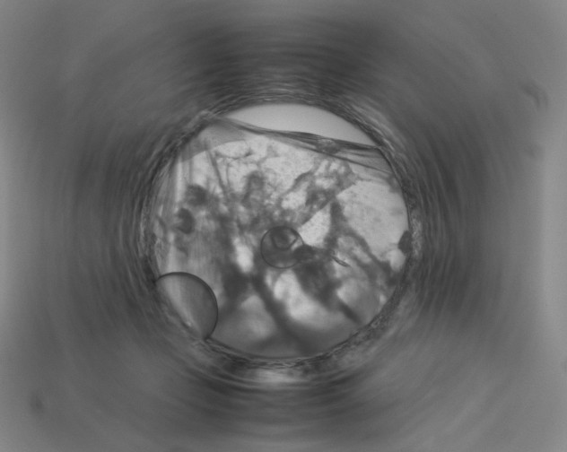 X0000112770365200910011241