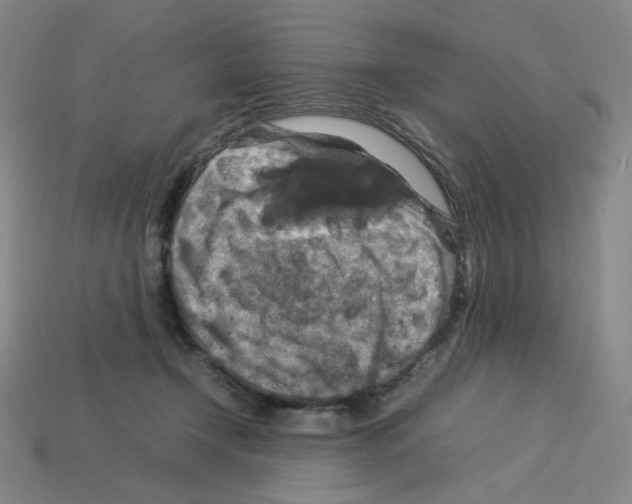 X0000112770366200910011241