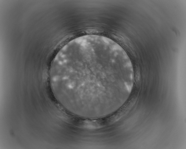 X0000112770367200910011241