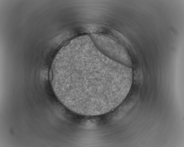 X0000112770368200910011241