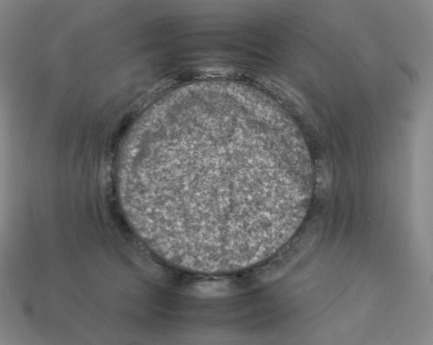 X0000112770369200910011241