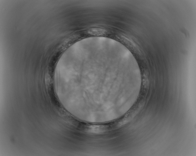 X0000112770371200910011241