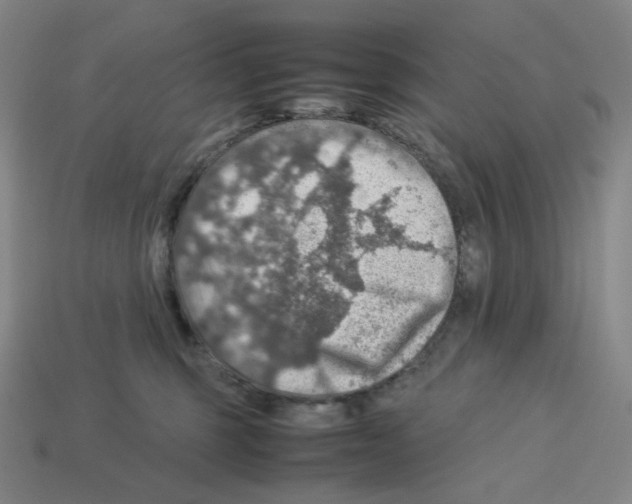 X0000112770375200910011242