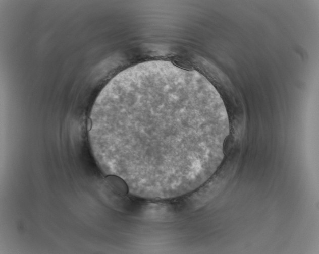 X0000112770376200910011242