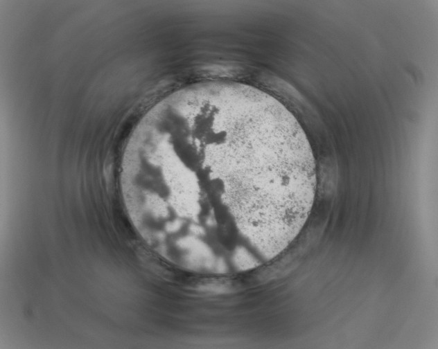 X0000112770377200910011242