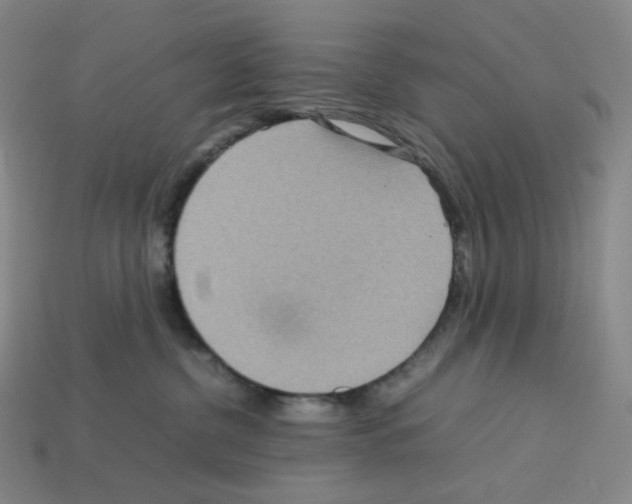 X0000112770380200910011242