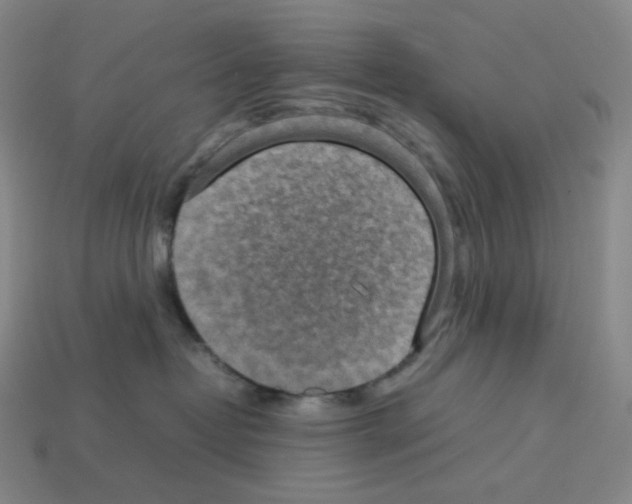 X0000112770382200910011242