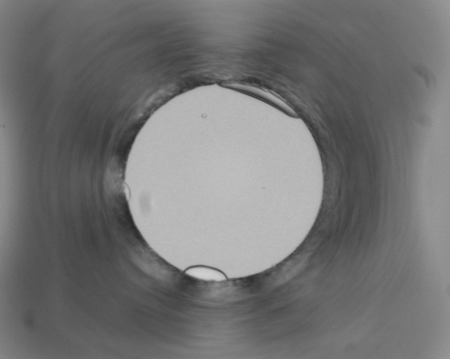 X0000112770384200910011242