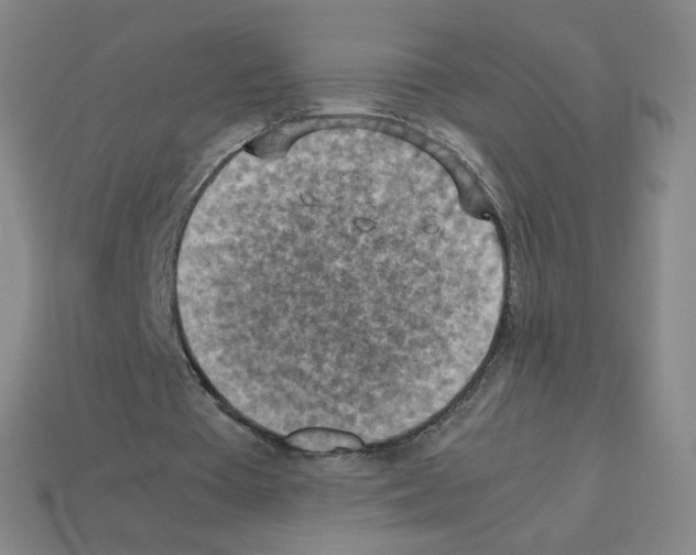 X0000112770385200910011241